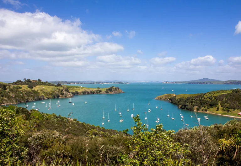 Waiheke Island Reserve Ferry Return