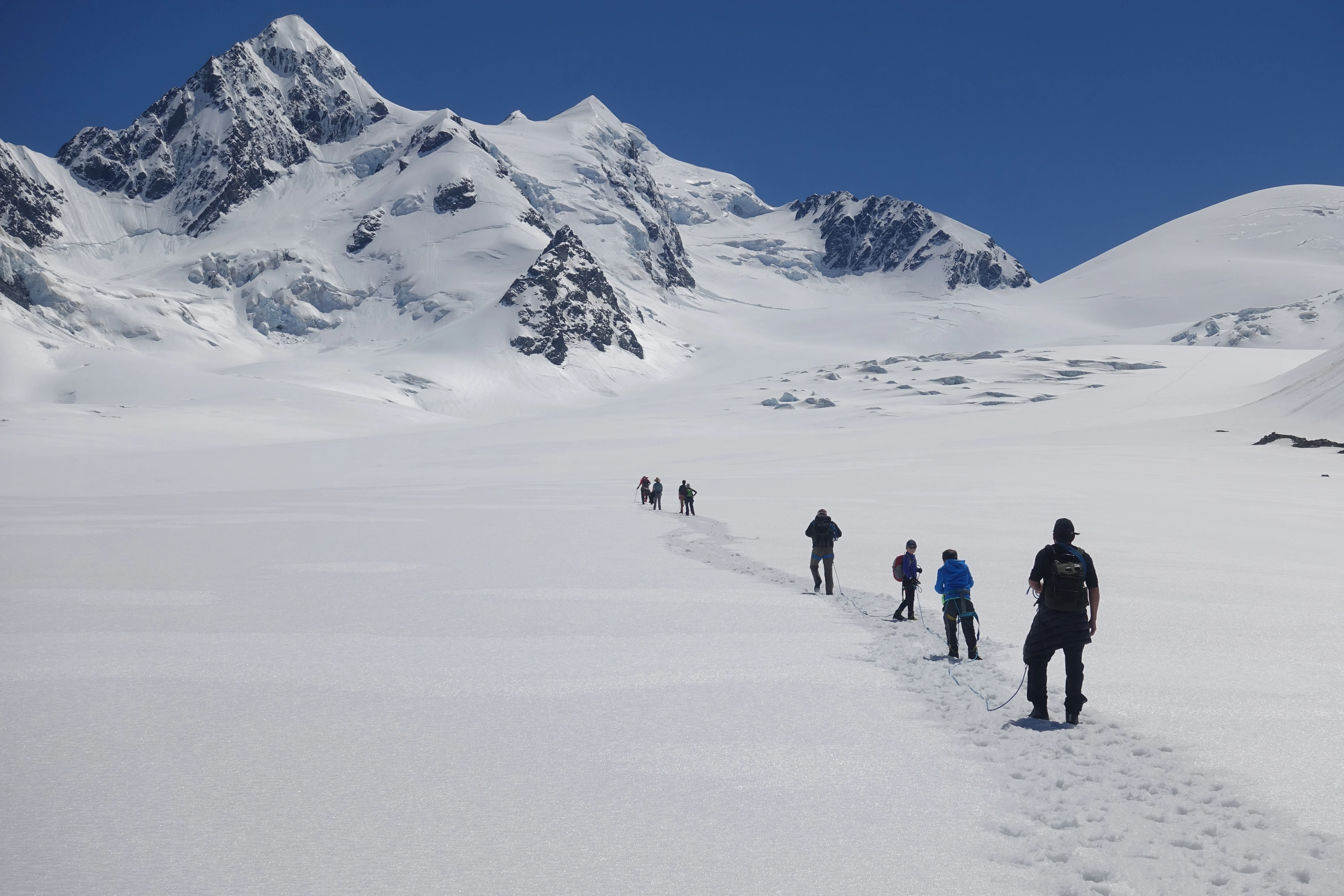 Flockhill to Queenstown Heli Transfer and Glacier Encounter