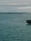 Charter Cruise to Waiheke Island experience