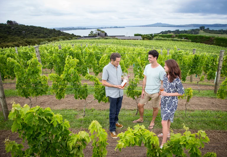 Waiheke Island Luxury Private Tour