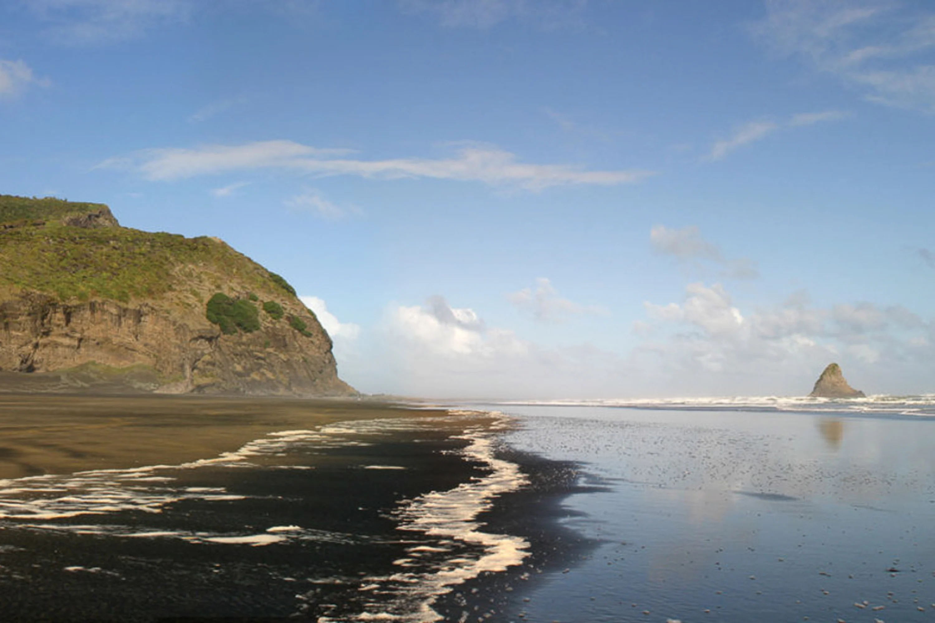 Coast and Rainforest Tour experience