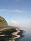 Coast and Rainforest Tour experience