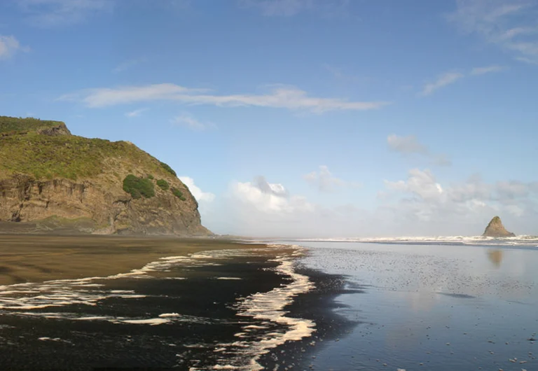 Coast and Rainforest Tour
