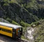 Queenstown to Dunedin Small Group Tour, via Tairei Gorge Railway
