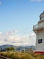 Akaroa Day Tour experience