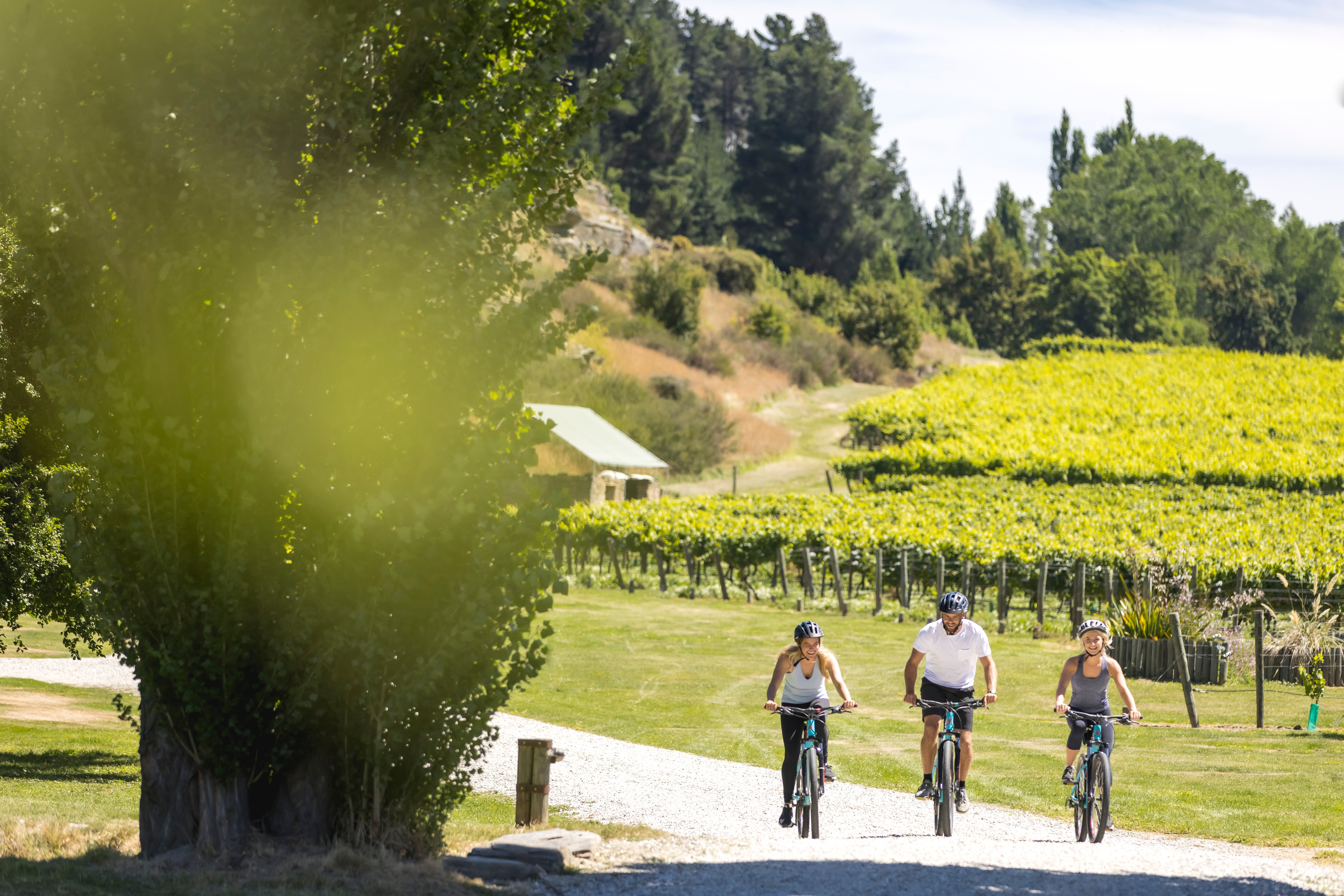 Bike the Wineries Self Guided E-Bike Tour experience