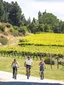 Bike the Wineries Self Guided E-Bike Tour experience