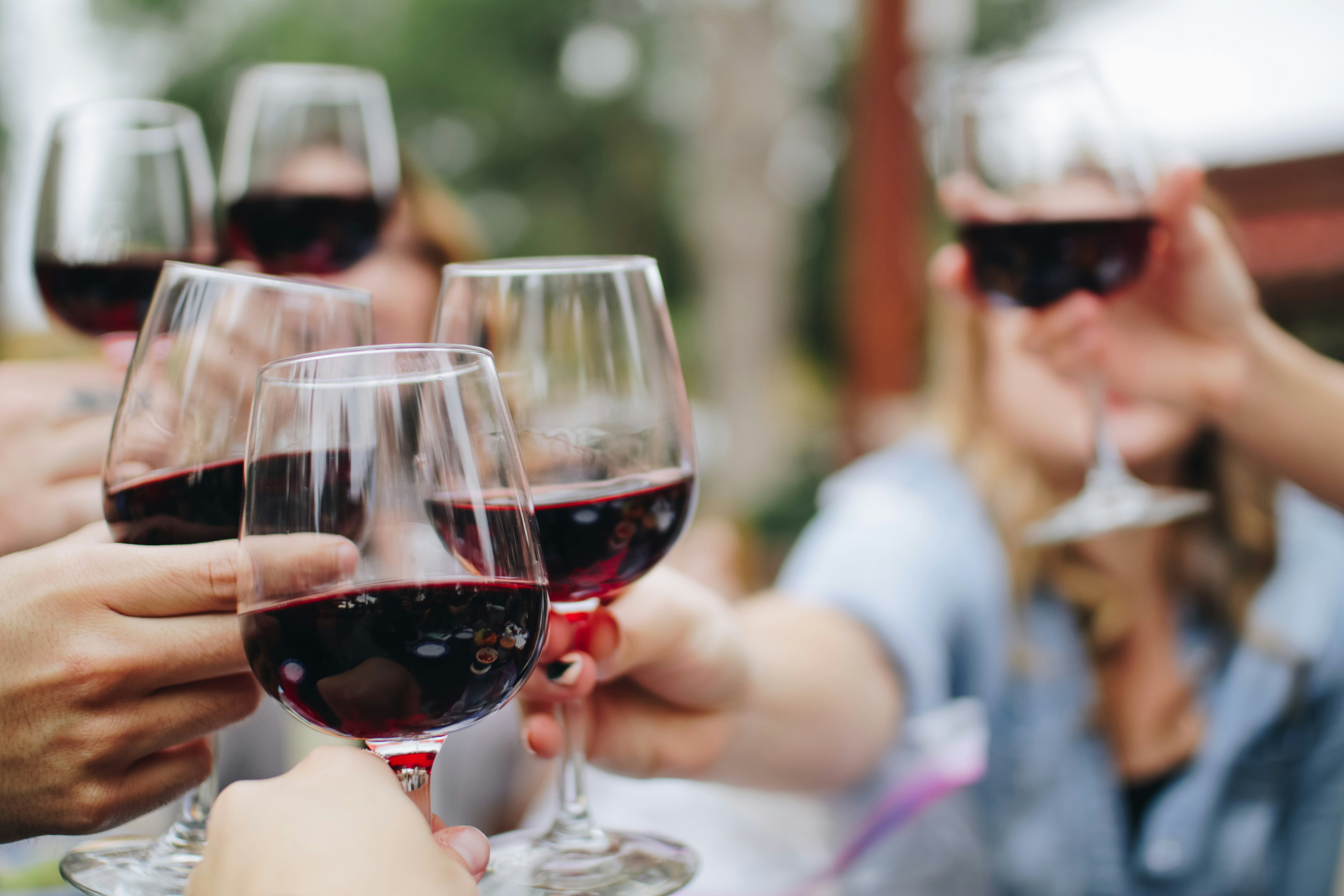 Half Day Wine Tour experience