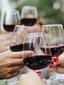 Half Day Wine Tour experience
