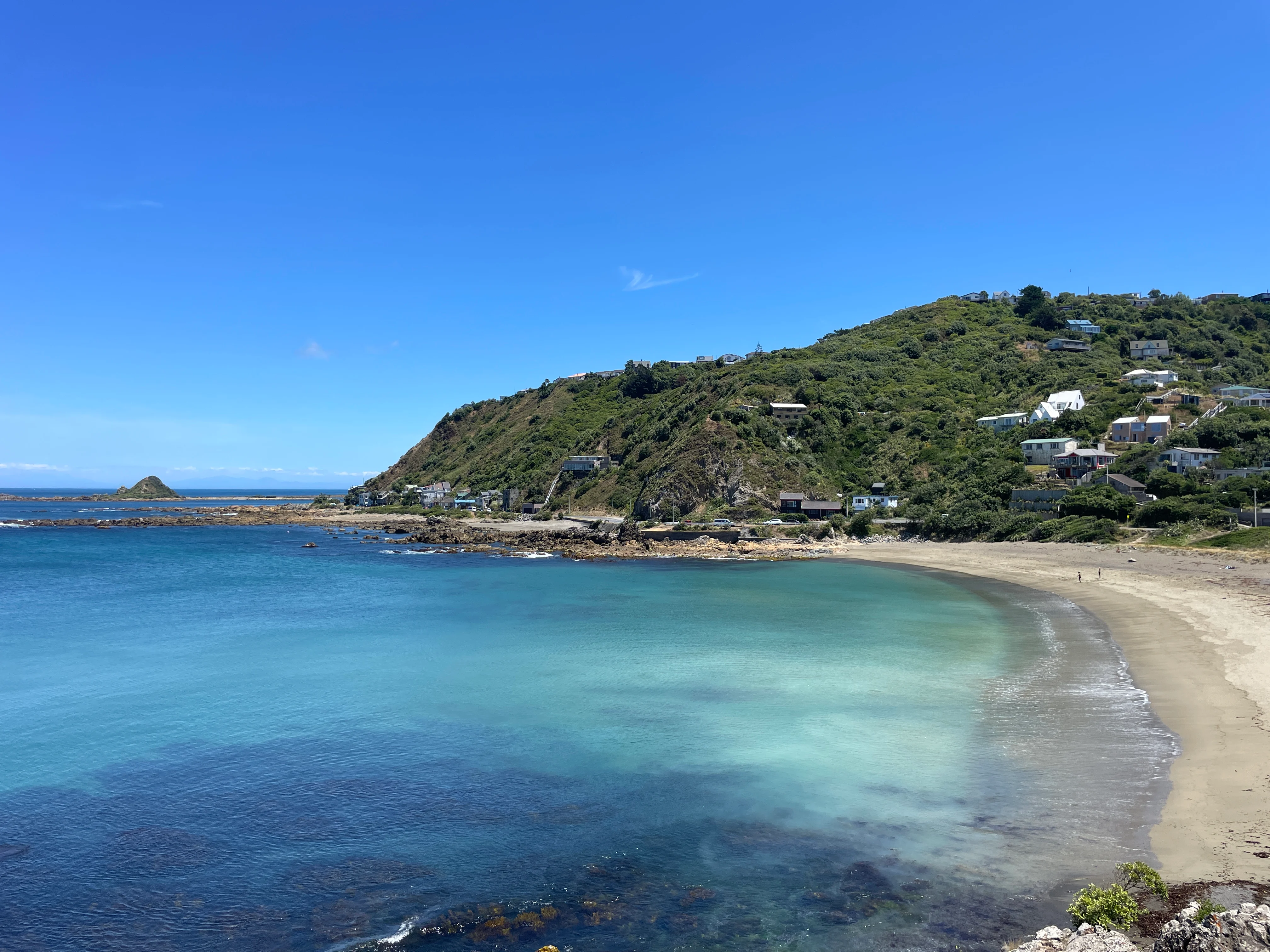 Wellington Scenic Half-Day Tour experience