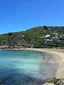 Wellington Scenic Half-Day Tour experience