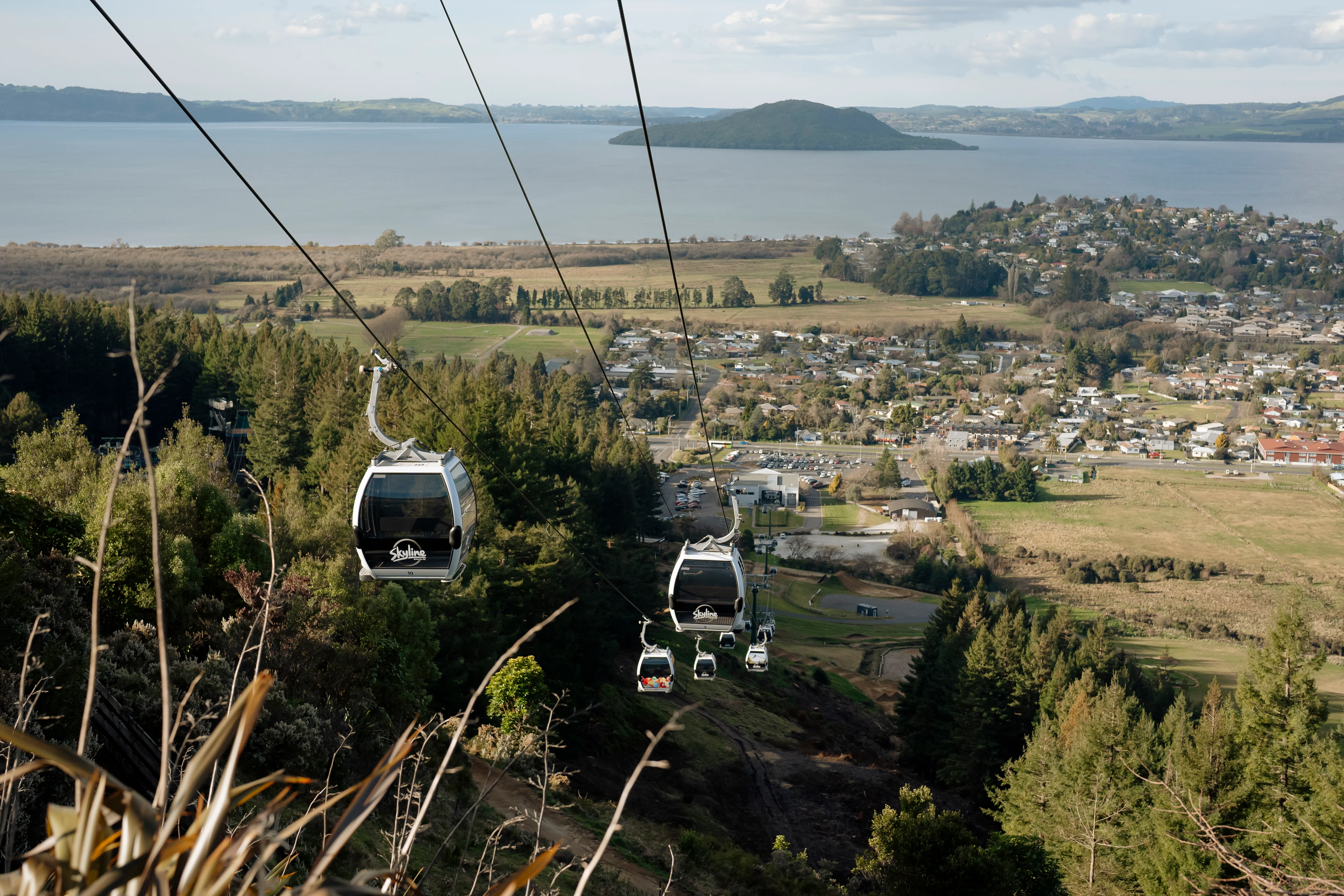 Skyline Gondola 3 Luge Rides and Buffet Lunch