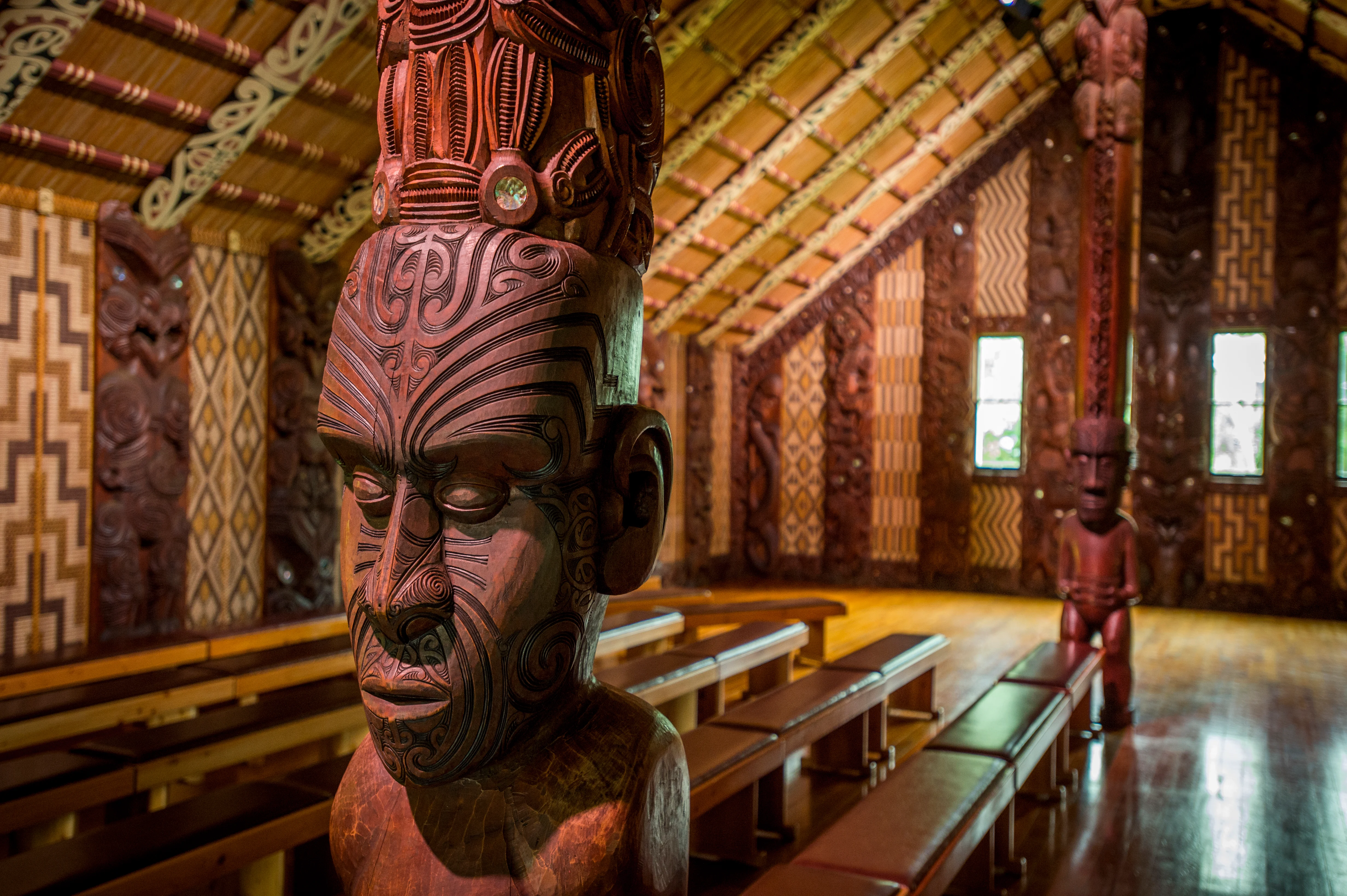 Waitangi Treaty Grounds experience