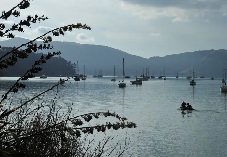 Akaroa Evening Penguin Tour