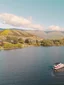 Full Day Winery Cruise Tour experience