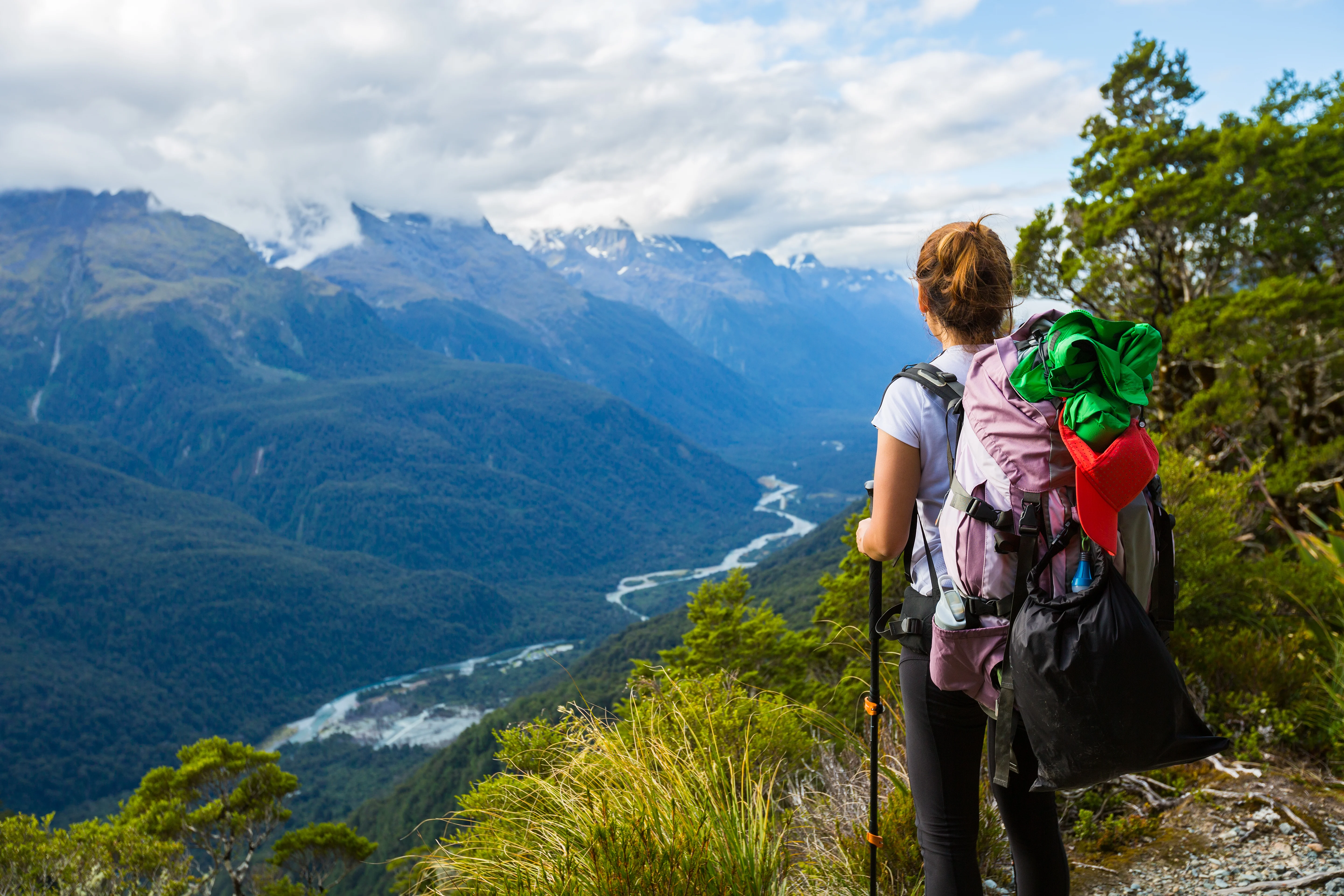 Routeburn Track Guided Hike experience