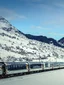 Arthurs Pass, Castle Hill & TranzAlpine Tour experience