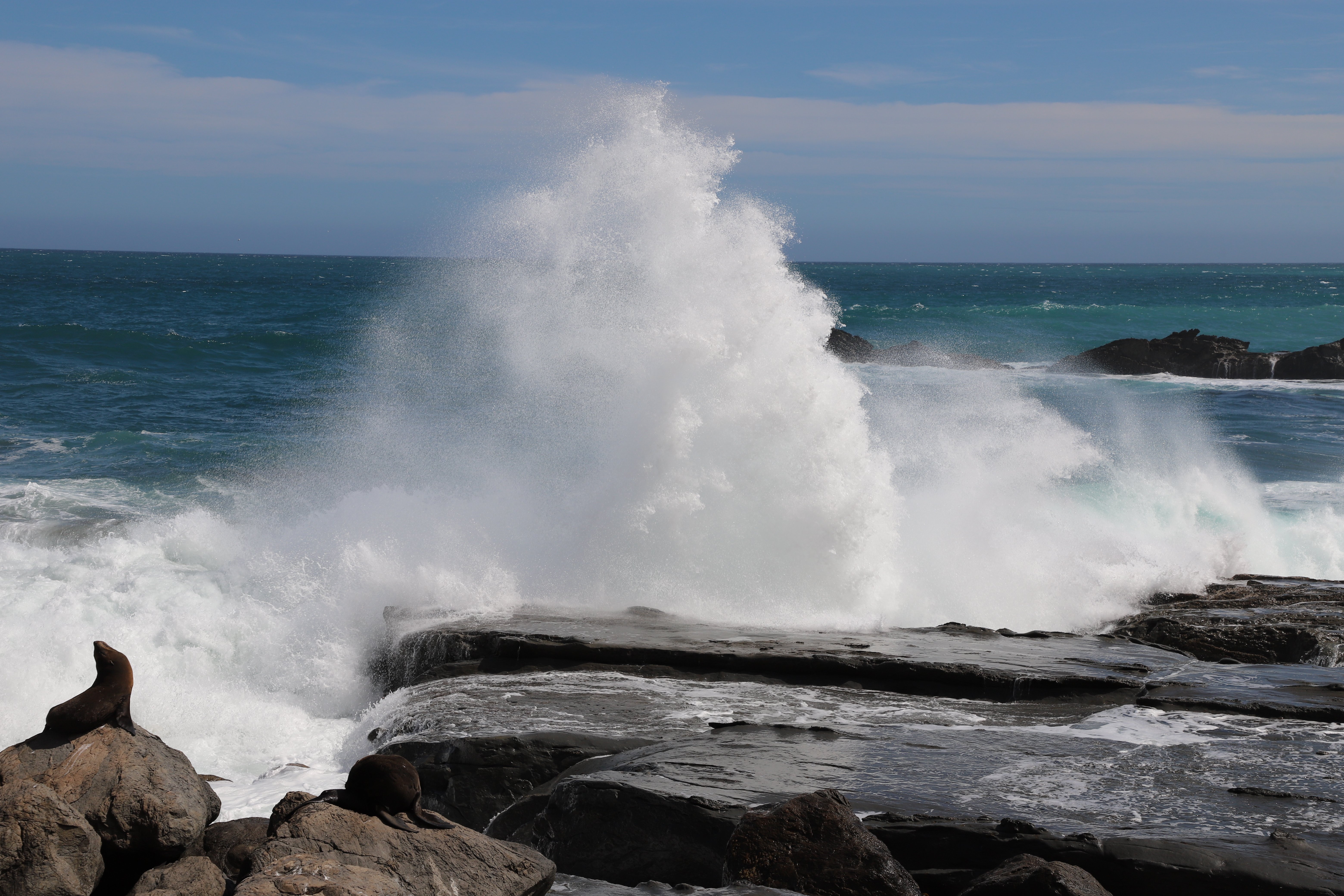 Scenic South Wairarapa experience