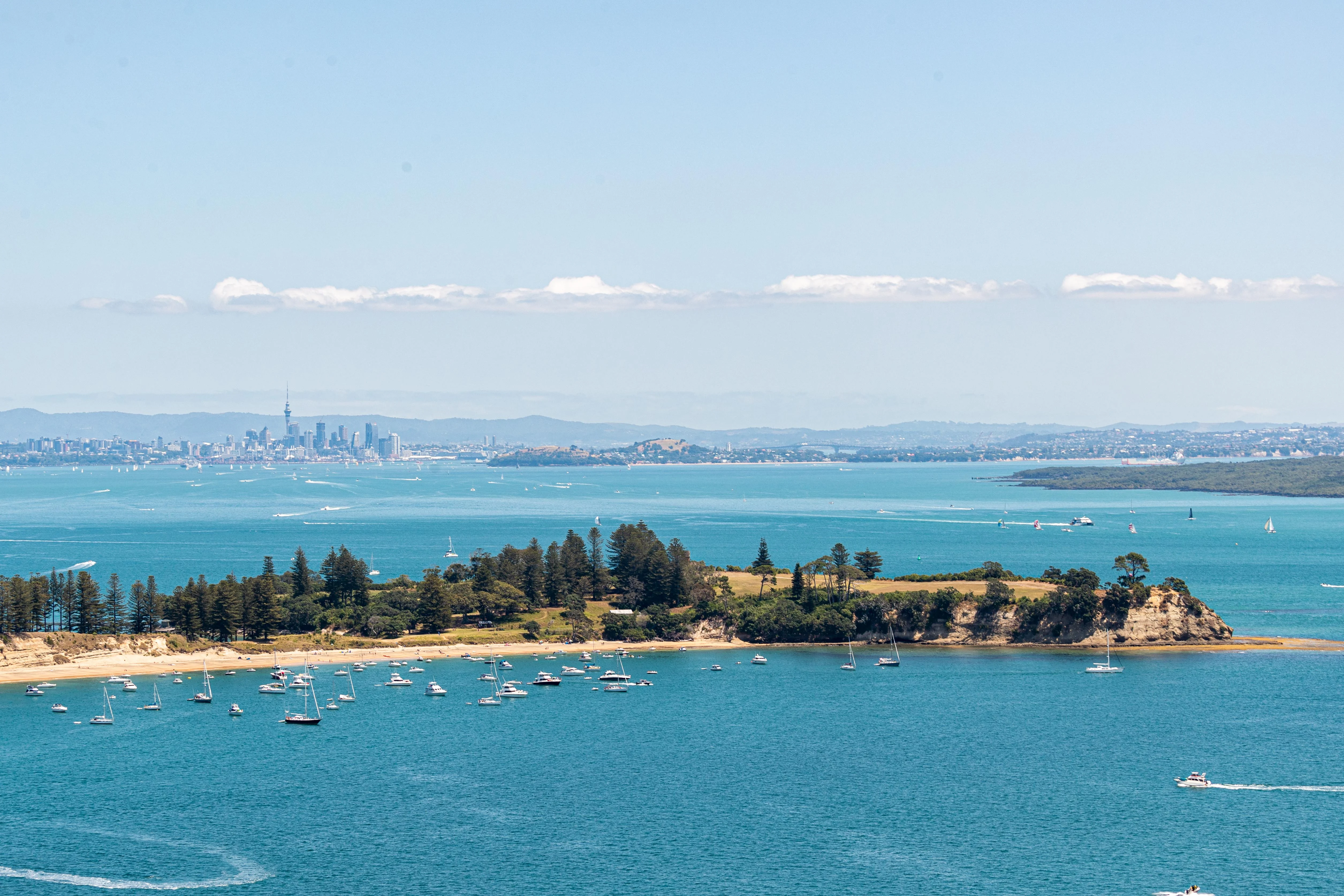 Motuihe Island Wildlife Experience  experience