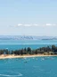 Motuihe Island Wildlife Experience experience