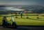 Kauri Cliffs - 9 Holes