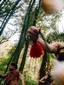 Kakara Exclusive Experience experience