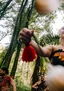 Kakara Exclusive Experience