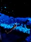 Glowworm Cave Tour experience