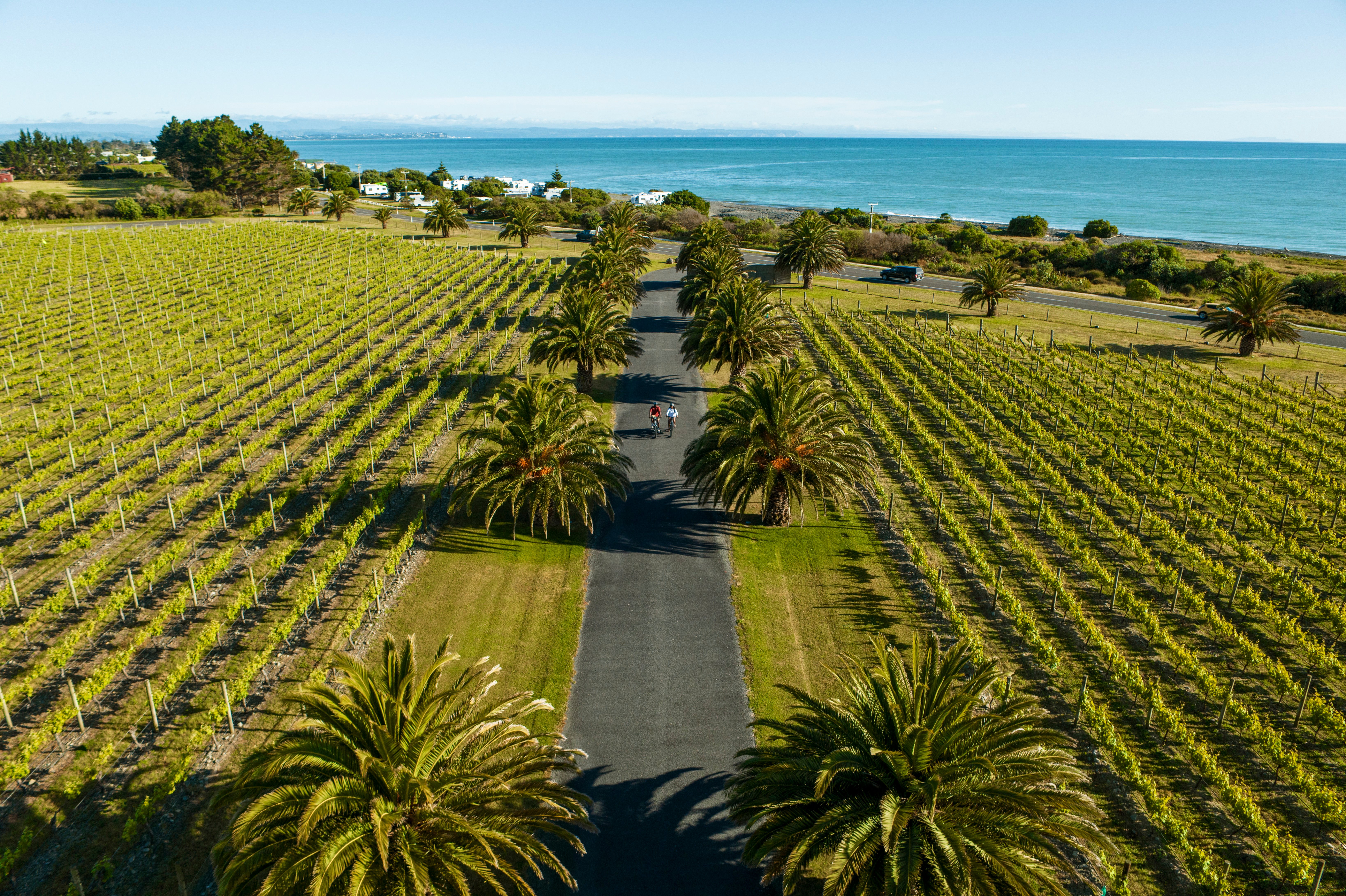 Hawke's Bay