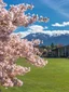 Distinction Te Anau Hotel & Villas experience