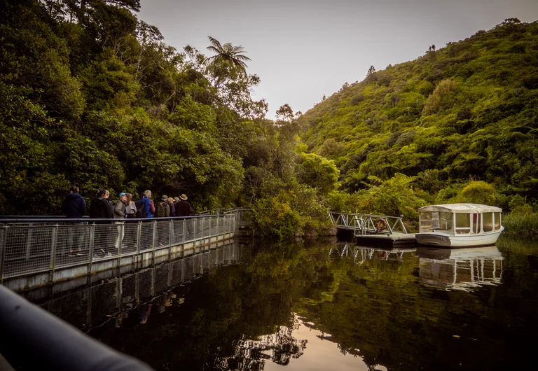 Zealandia Twilight Tour