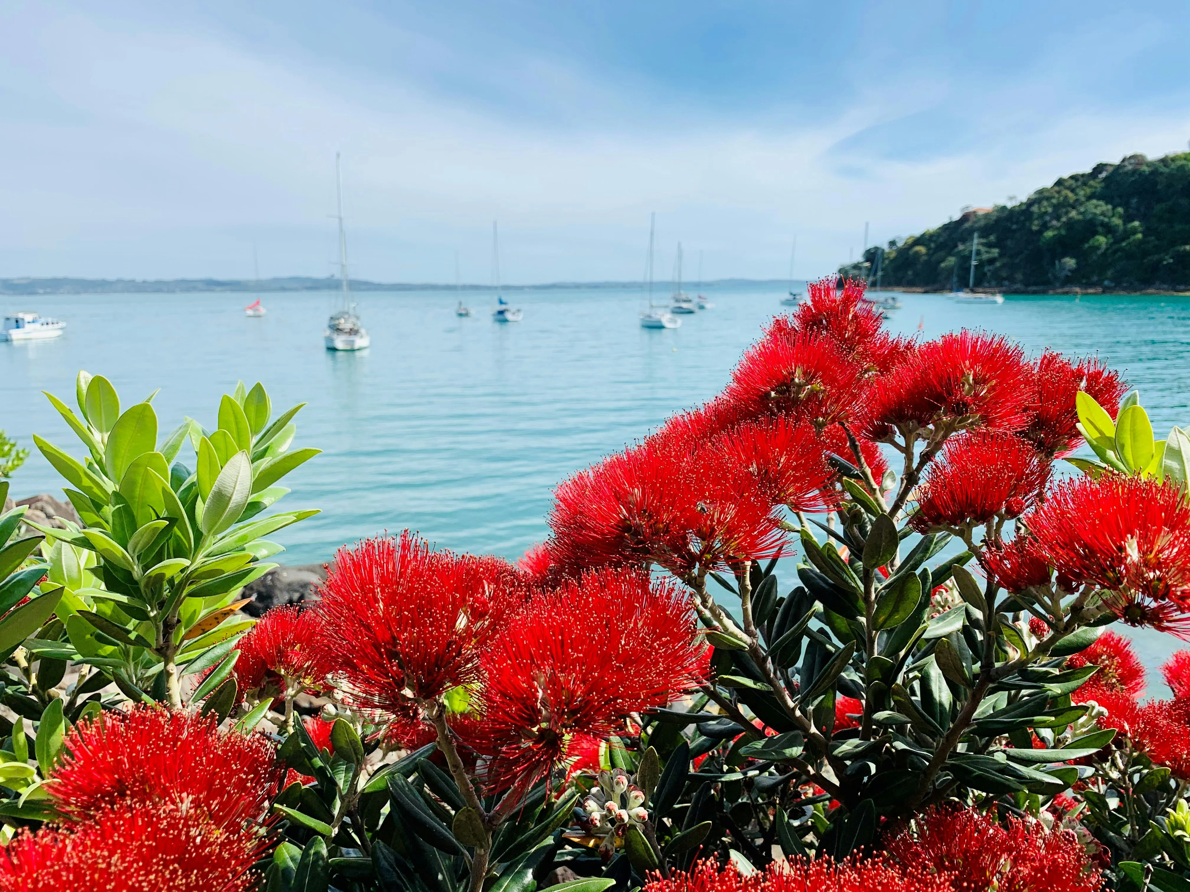 Waiheke Island