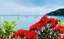 Waiheke Island
