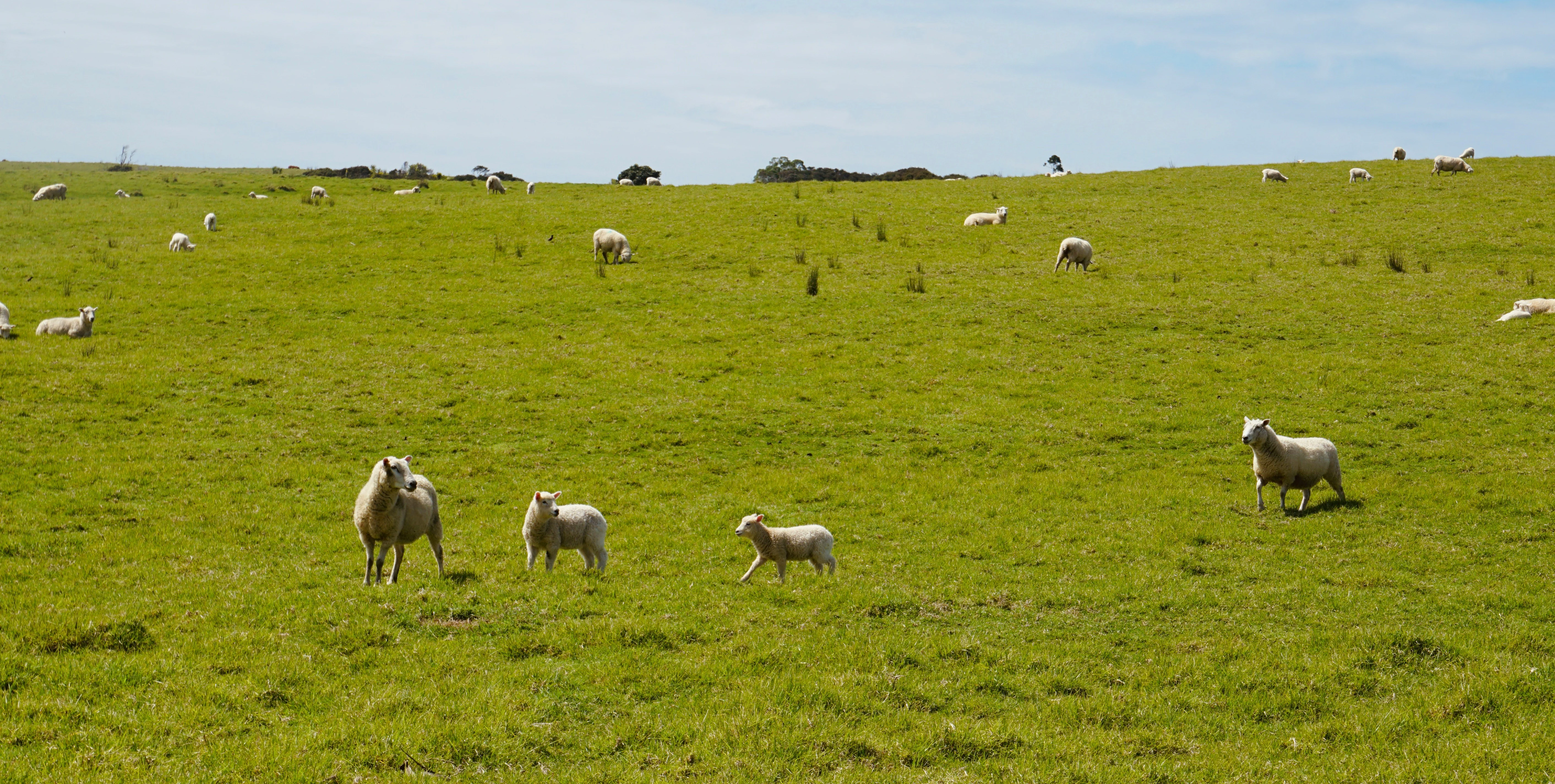 Warkworth