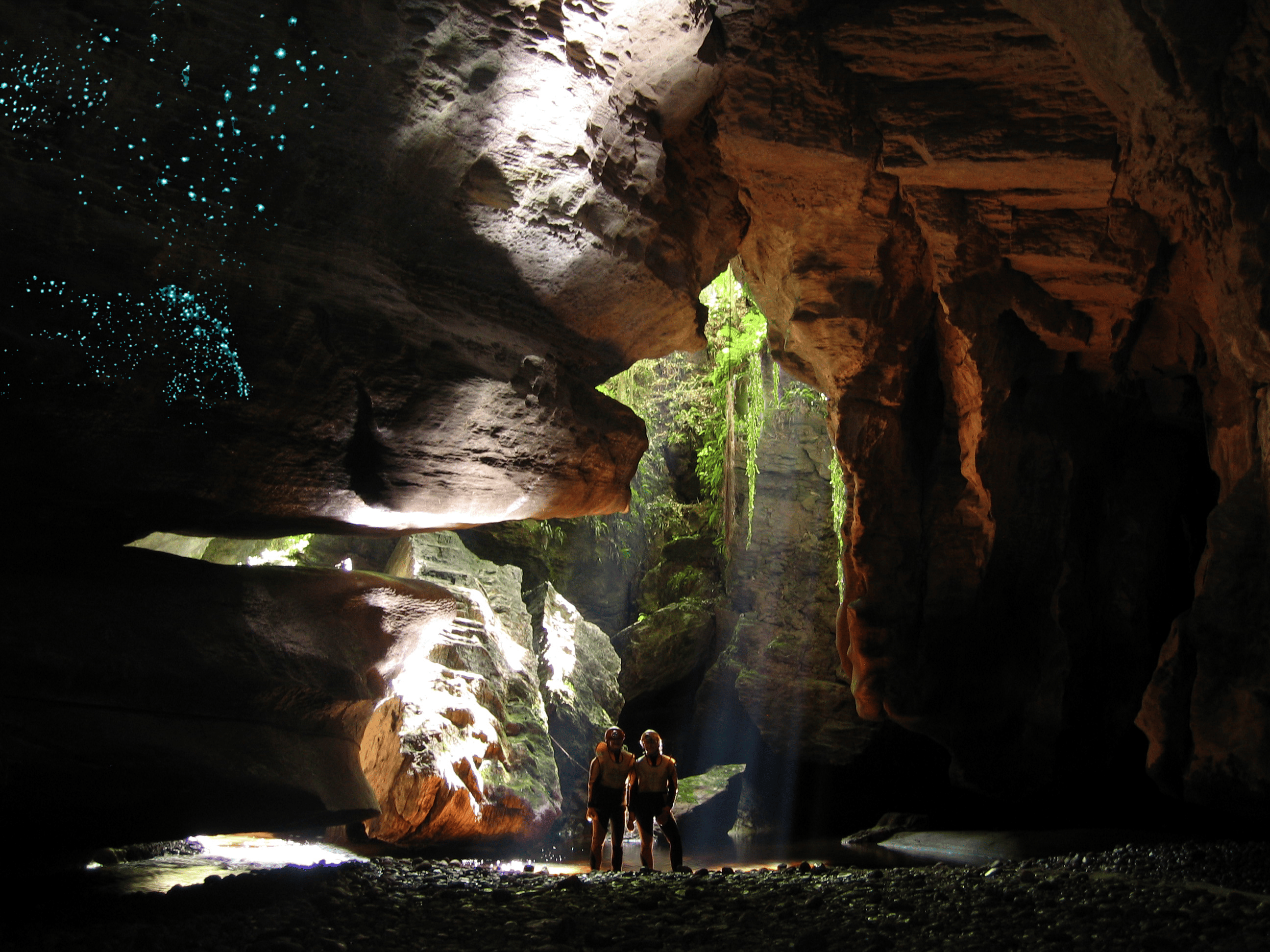 Glowworm Cave Tour experience