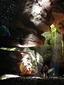 Glowworm Cave Tour experience
