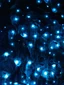 Te Anau Glowworm Caves experience