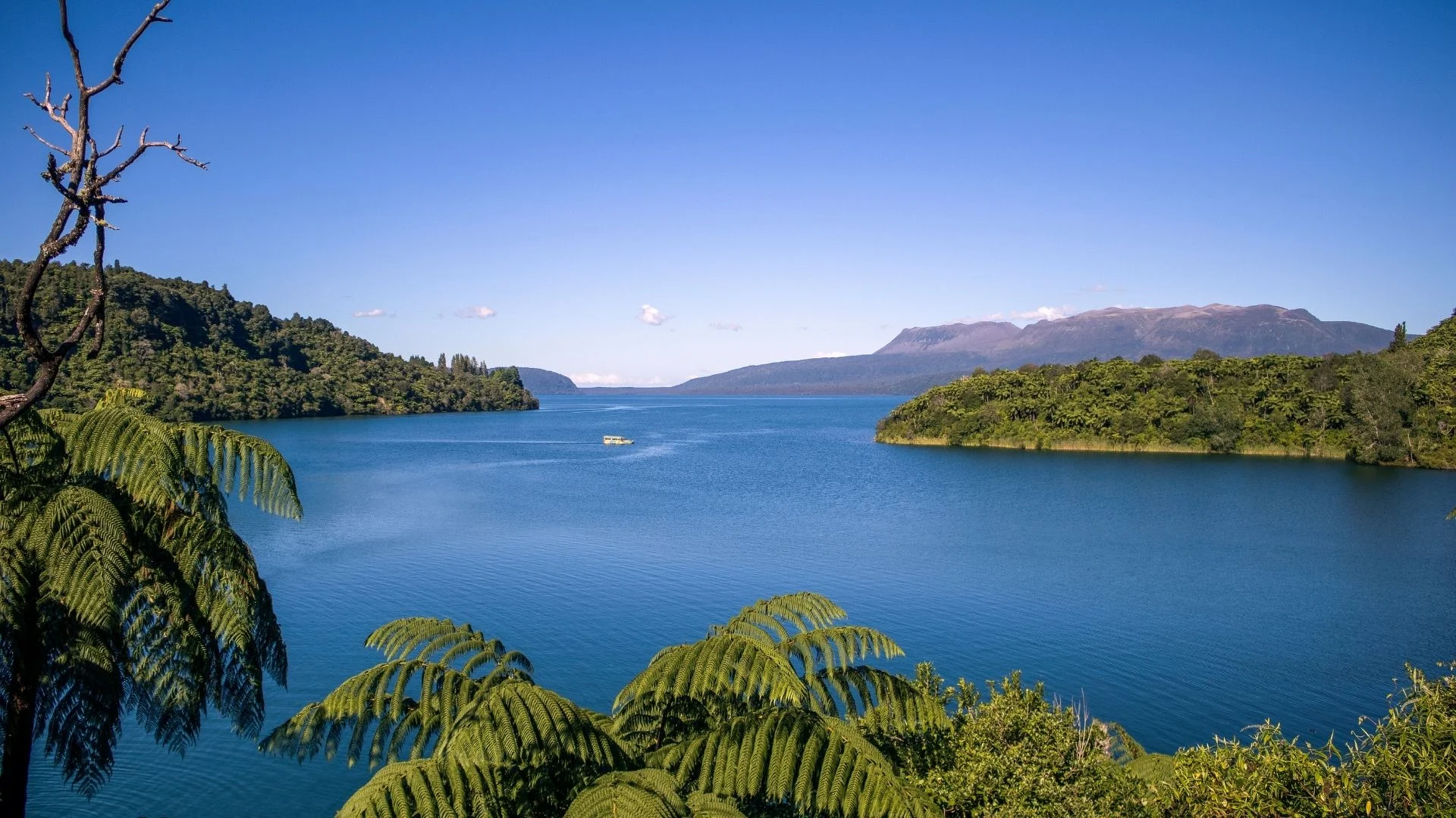 Lake Tarawera