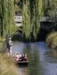 Punting on the Avon experience