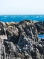 Seal Coast Safari experience