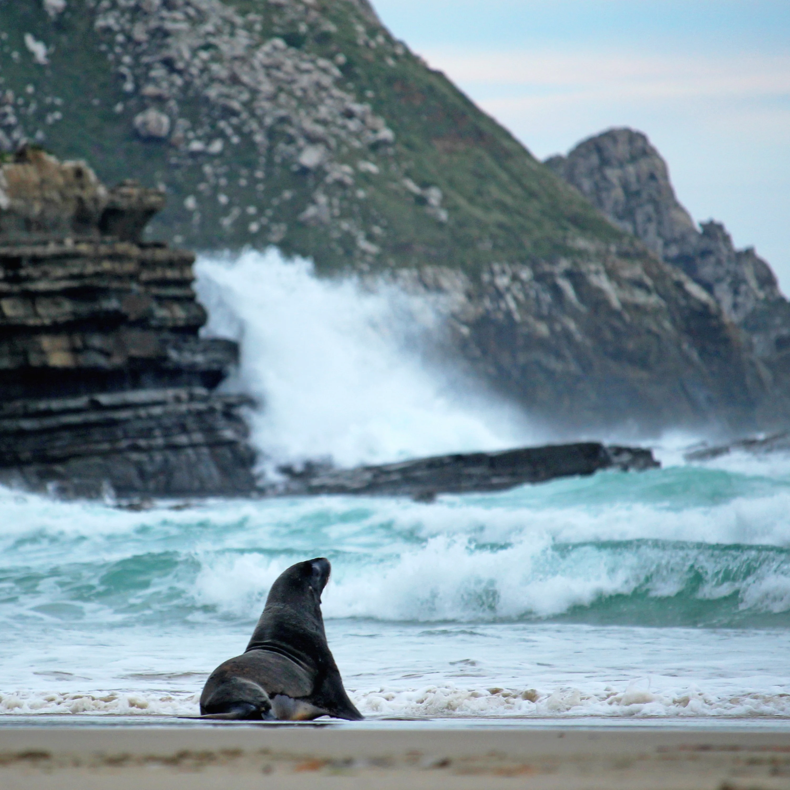 Image of Nature & Wildlife