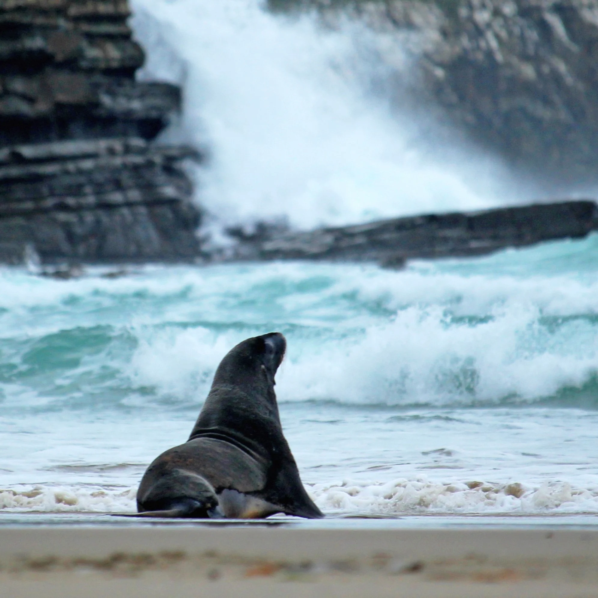 Image of Nature & Wildlife