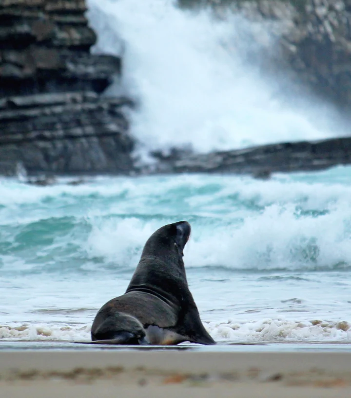 Image of Nature & Wildlife