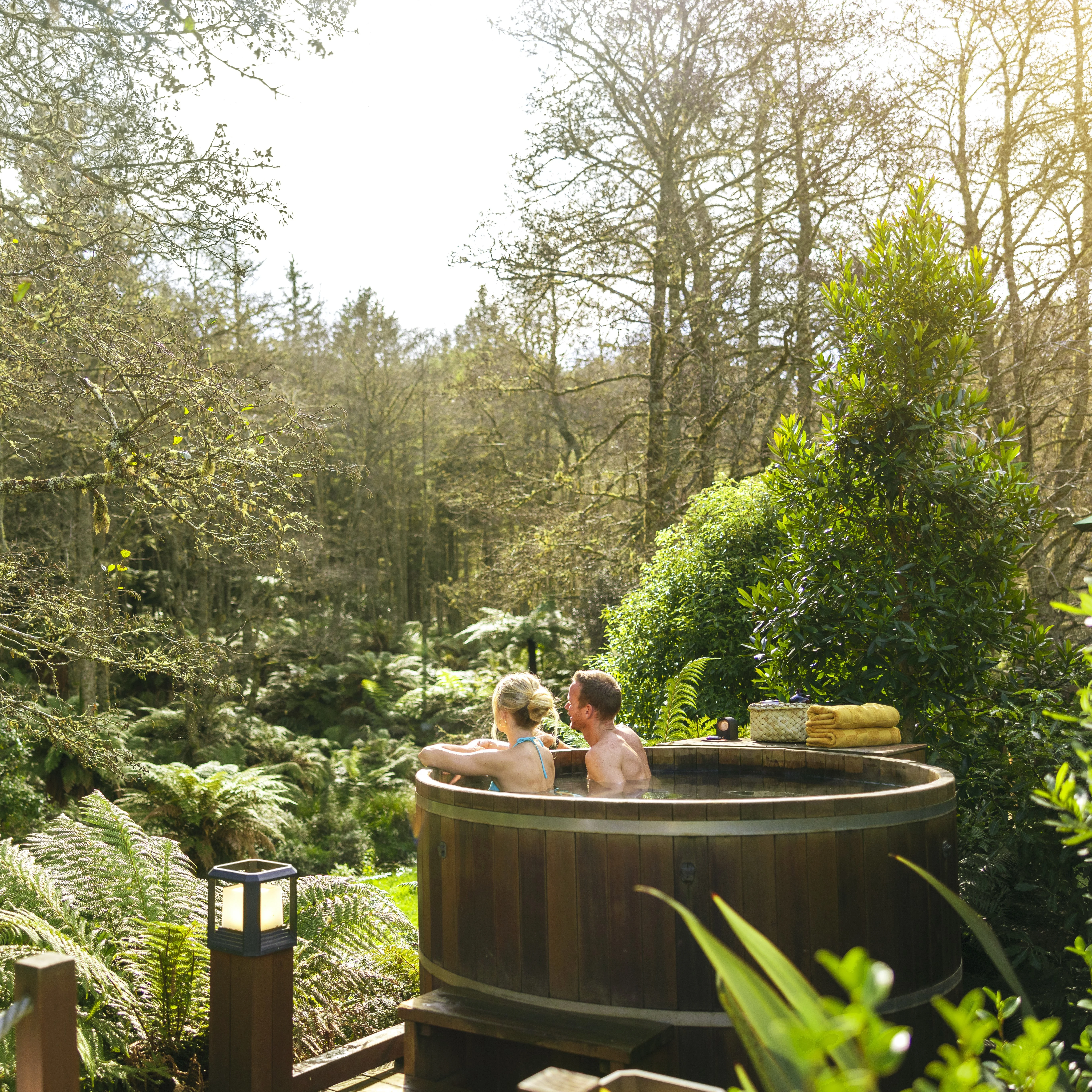 Image of Wellness Journeys