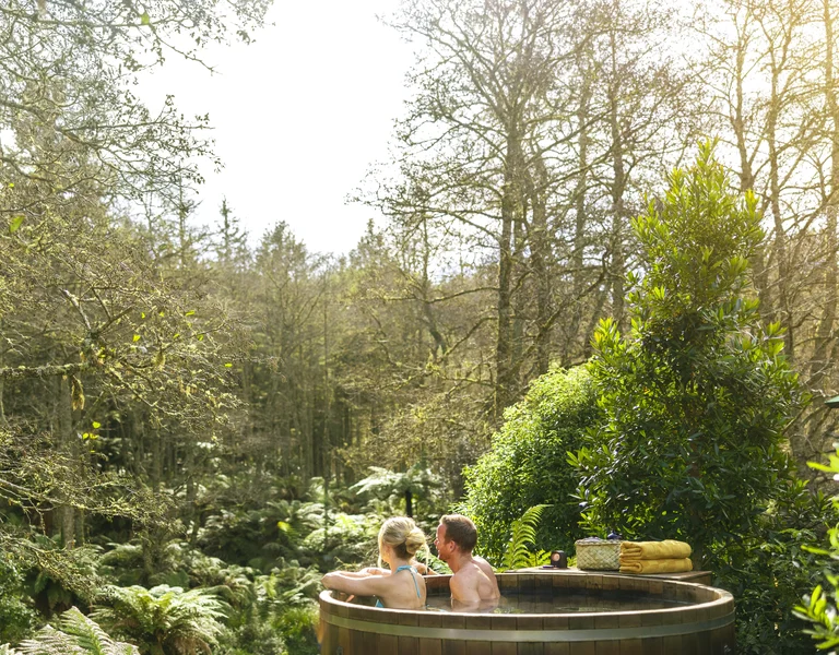 Wellness Journeys Cover Image