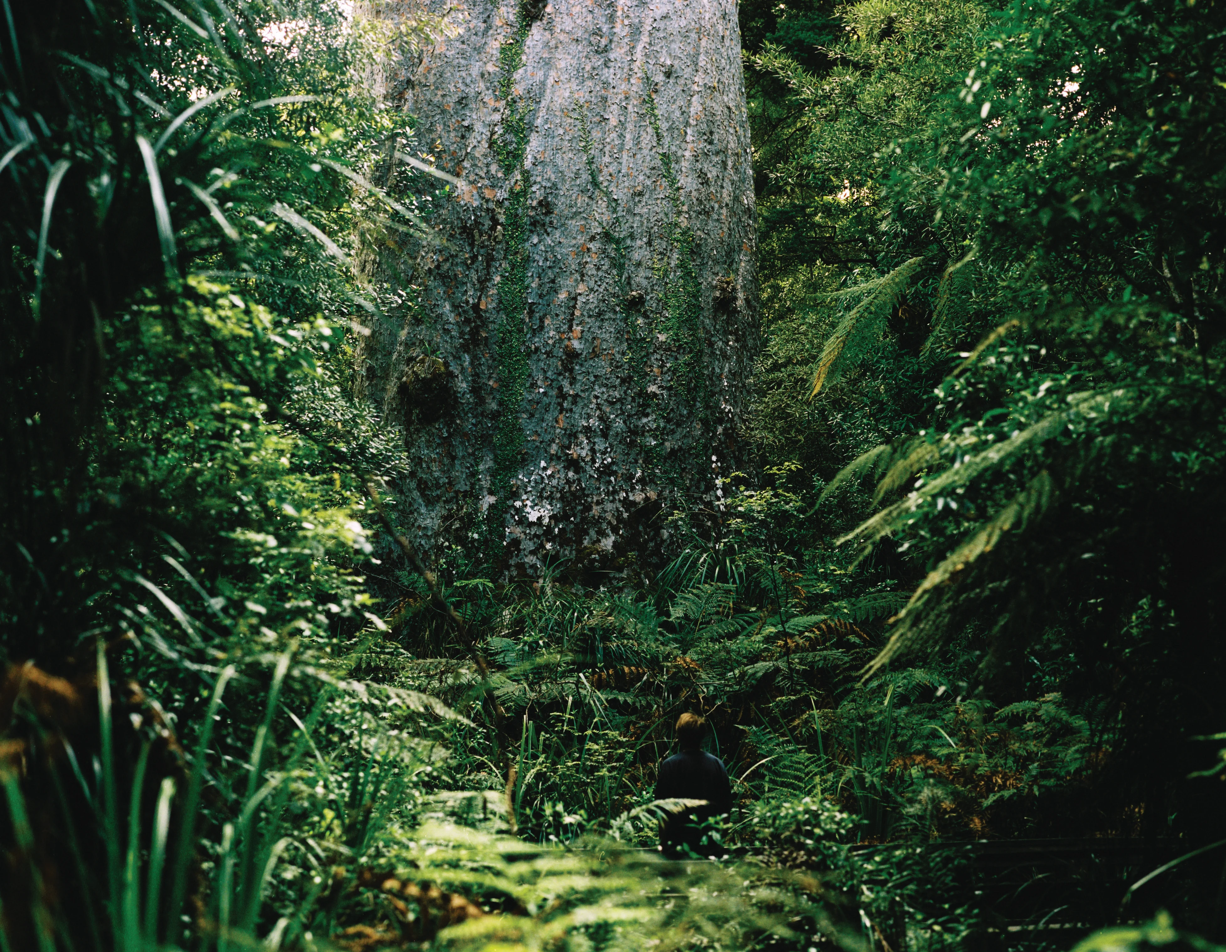 AOTEAROA ADVENTURE TRAIL