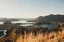 Image for WILD SOUTH WONDER