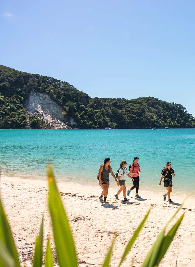 Touring New Zealand