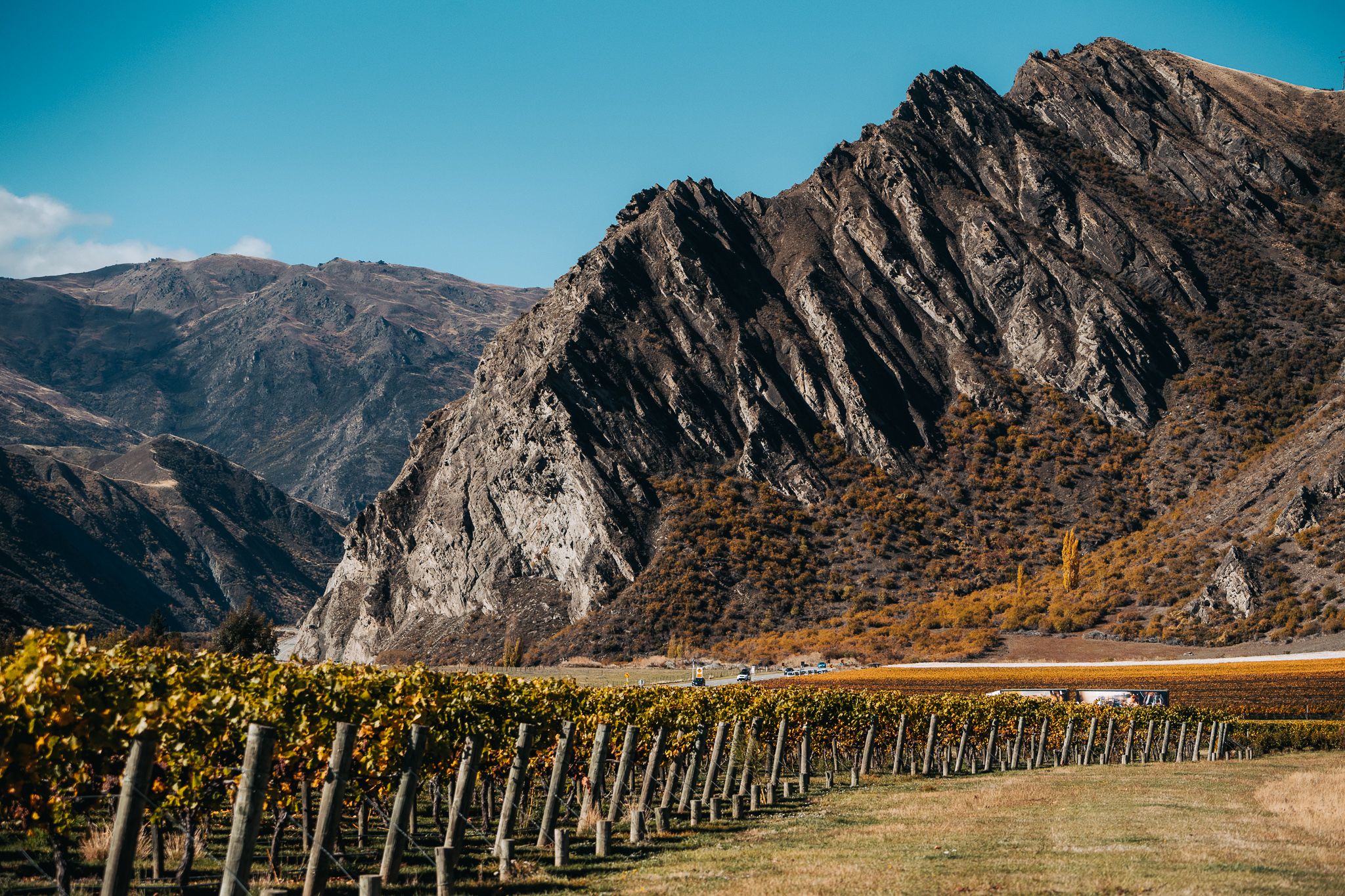 ALPINE VINTAGES journey