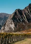 ALPINE VINTAGES journey